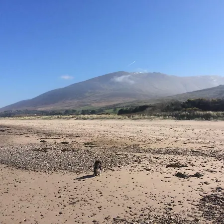 豪华帐篷 Coach Field *