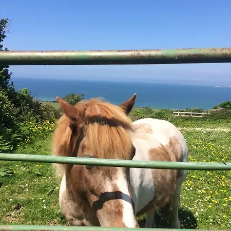 Luxury tent Coach Field