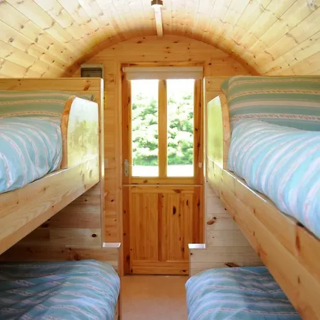 Coach Field 豪华帐篷 Camp