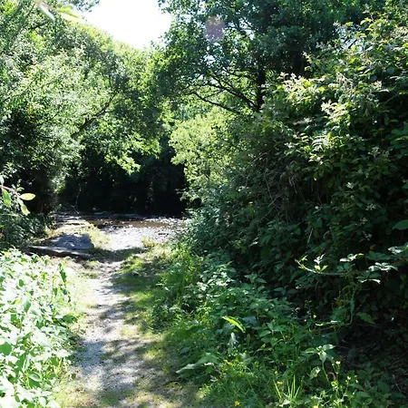 豪华帐篷 Coach Field *