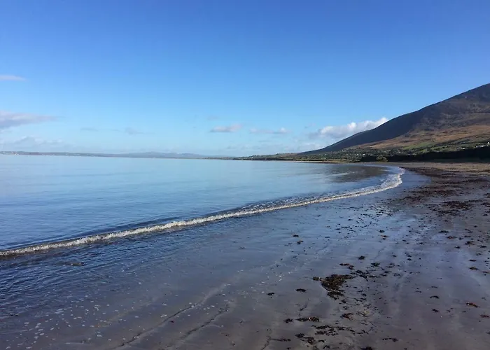 Glamping Coach Field