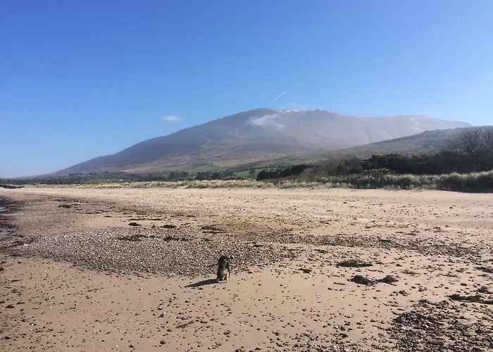 Luksusowy namiot Coach Field *