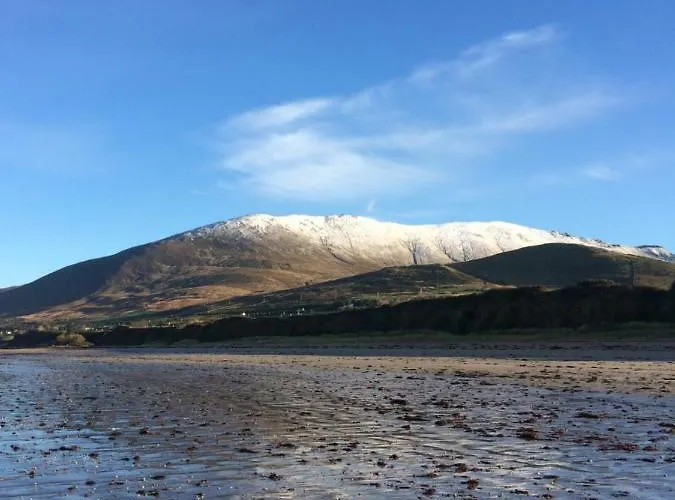 Coach Field Luksusowy namiot Camp