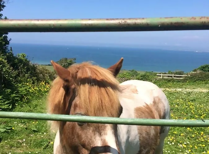 Luksusowy namiot Coach Field