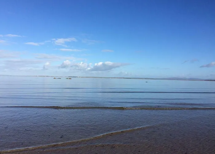 Luksusowy namiot Coach Field