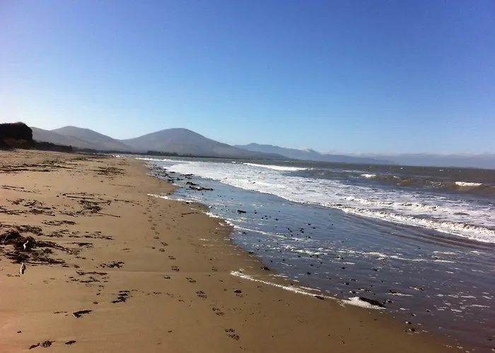 Luksusowy namiot Coach Field