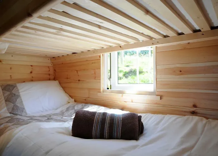 Coach Field Glamping Camp