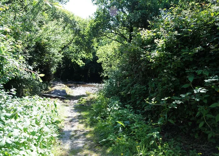 Glamping Coach Field *