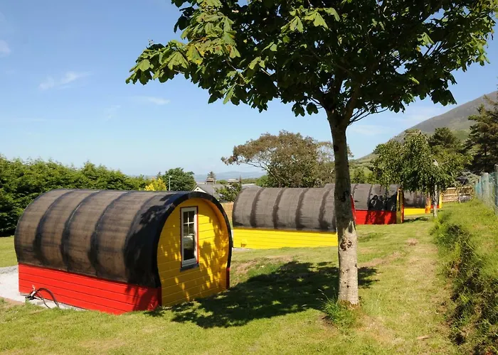 Glamping Coach Field